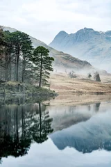 Gartenposter Berge Tranquil spring morning at Blea Tarn with lingering mist and reflections of mountains and tree's in lake.