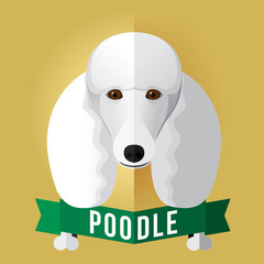 Image of a dog's face. Poodle. Vector illustration