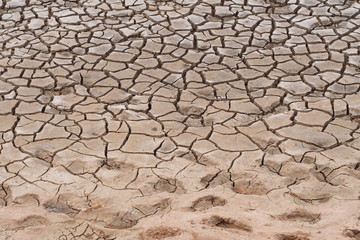 Crack surface of earth occur in dry area