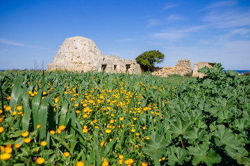 Countryside with trullo huts along the coast of Polignano a Mare. Apulia, Italy