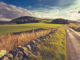 Rural Country Lane