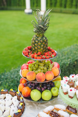 Fruit Tray at Yard