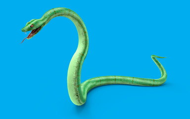 Obraz premium 3d green snake isolated on blue background