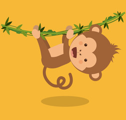 funny monkey  design 