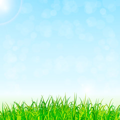 Fototapeta premium nature background vector
