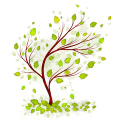 Green tree with leaves on white background