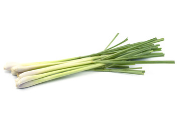Fresh Lemongrass (citronella) isolated on white background, with