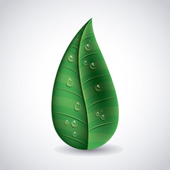 ecological leaves  design 