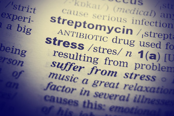 Dictionary definition of the word Stress.