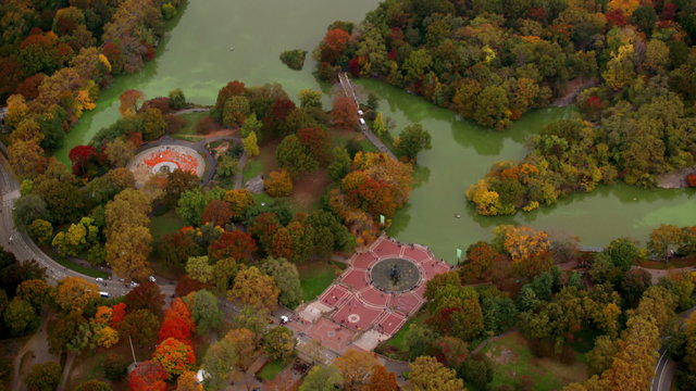Central park in Autumn color, aerial shot