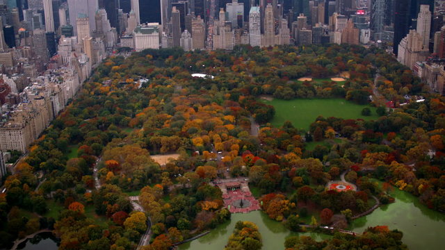 Aerial shot of Central Park in Fall, New York City