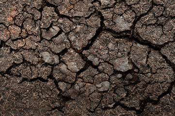 Cracked soil texture
