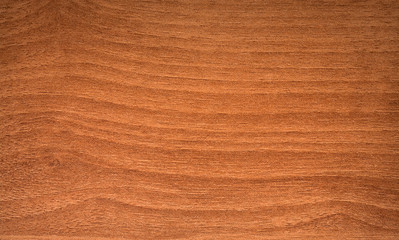 Brown wood texture. Pattern background.