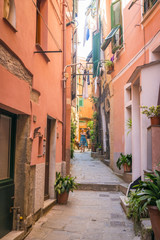 Fototapeta na wymiar Colorful harbor at Vernazza, Cinque Terre, Italy