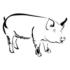 Outline pig vector illustration. Can be use for logo or tattoo