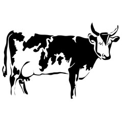 Outline cow vector illustration. Can be use for logo