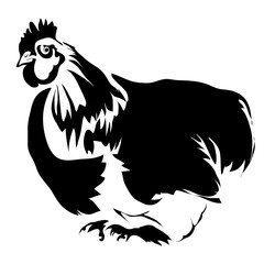 Outline chicken vector illustration. Can be use for logo