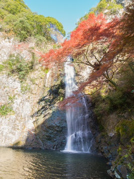 Minoo Waterfall Meiji-no-mori Mino Quasi-national Park (Mino Fal