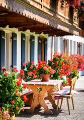 backyard at an old house