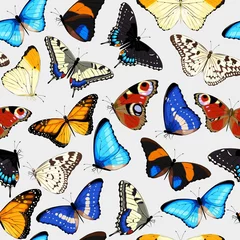 Deurstickers Vlinders Kleurrijke vlinders naadloos