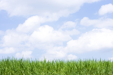 Obraz premium Wiese und Himmel