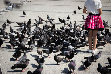 Obraz premium pretty girl feeding pigeons