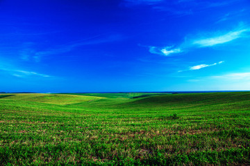 Beatiful morning green field with blue heaven