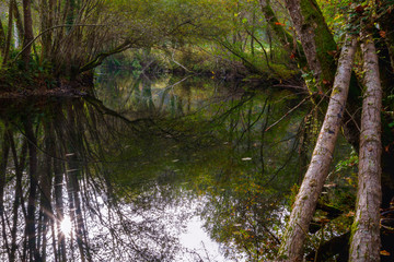 quiet river scene