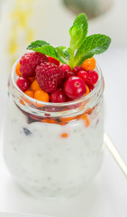 Fresh Greek yogurt with Chia seeds and fresh berries - cranberry, raspberry and sea buckthorn. Diet. Healthy Breakfast
