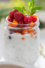 Fresh Greek yogurt with Chia seeds and fresh berries - cranberry, raspberry and sea buckthorn. Diet. Healthy Breakfast
