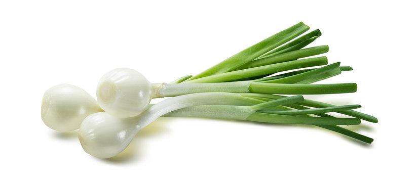 Green sping onion scallion isolated on white background