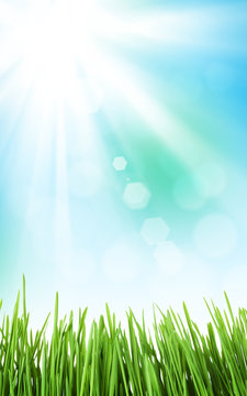 Sunny spring background with grass and sky