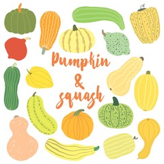  Pumpkin set. Hand-drawn cartoon squash