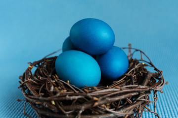 Blue Easter eggs in the nest on blue background