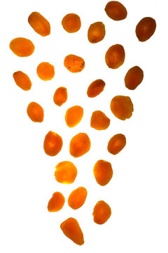 Dried apricots isolated on white background.