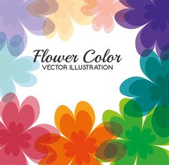 flower color design 