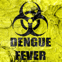 Obraz premium Dengue fever concept background