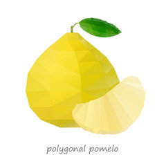 Polygonal Pomelo