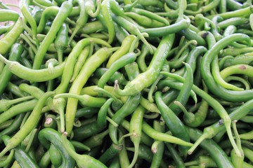Green pepper bitter sharp big harvest on a table