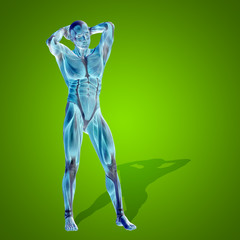 Obraz premium Conceptual 3D human man health anatomy on green