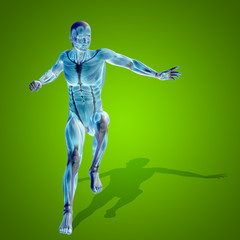Conceptual 3D human man health anatomy on green