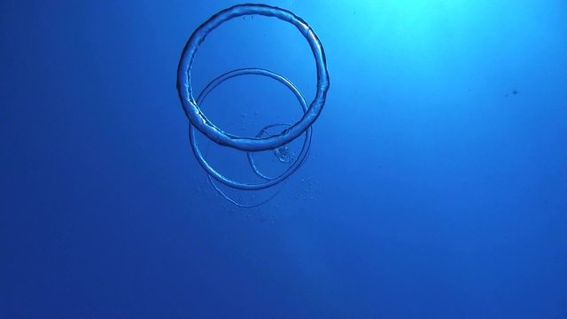 Blasenringe steigen auf im tiefblauen Ozean Rotes Meer