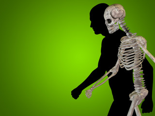 Conceptual Anatomy human body on green