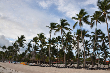 Naklejka na ściany i meble Beach with palm trees and sun beds empty. Dominican Republic