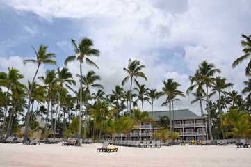 Fototapeta premium Beach with palm trees and sun beds empty. Dominican Republic