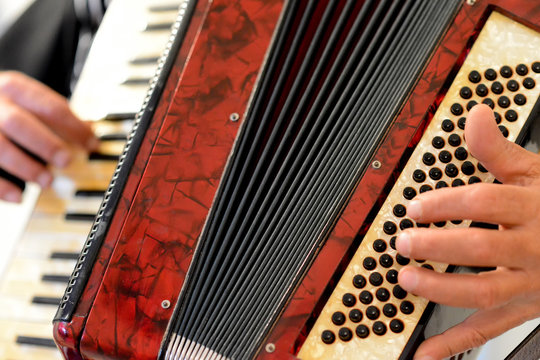 Someone who plays the accordion