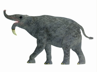 Deinotherium Side Profile - Deinotherium was an enormous land mammal that lived in Asia, Africa and Europe during the Miocene to Pleistocene Periods.