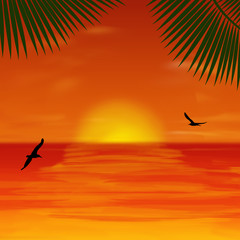 A beautiful view from beach and palm trees