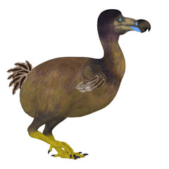 Dodo Bird Side Profile - The Dodo is an extinct flightless bird that lived on Mauritius Island in the Indian Ocean. © Catmando