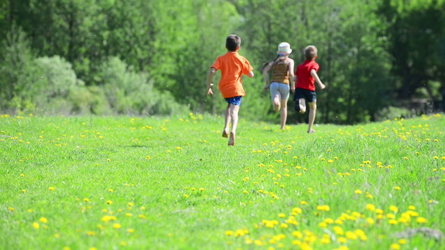 Happy young children  running around the field on nature